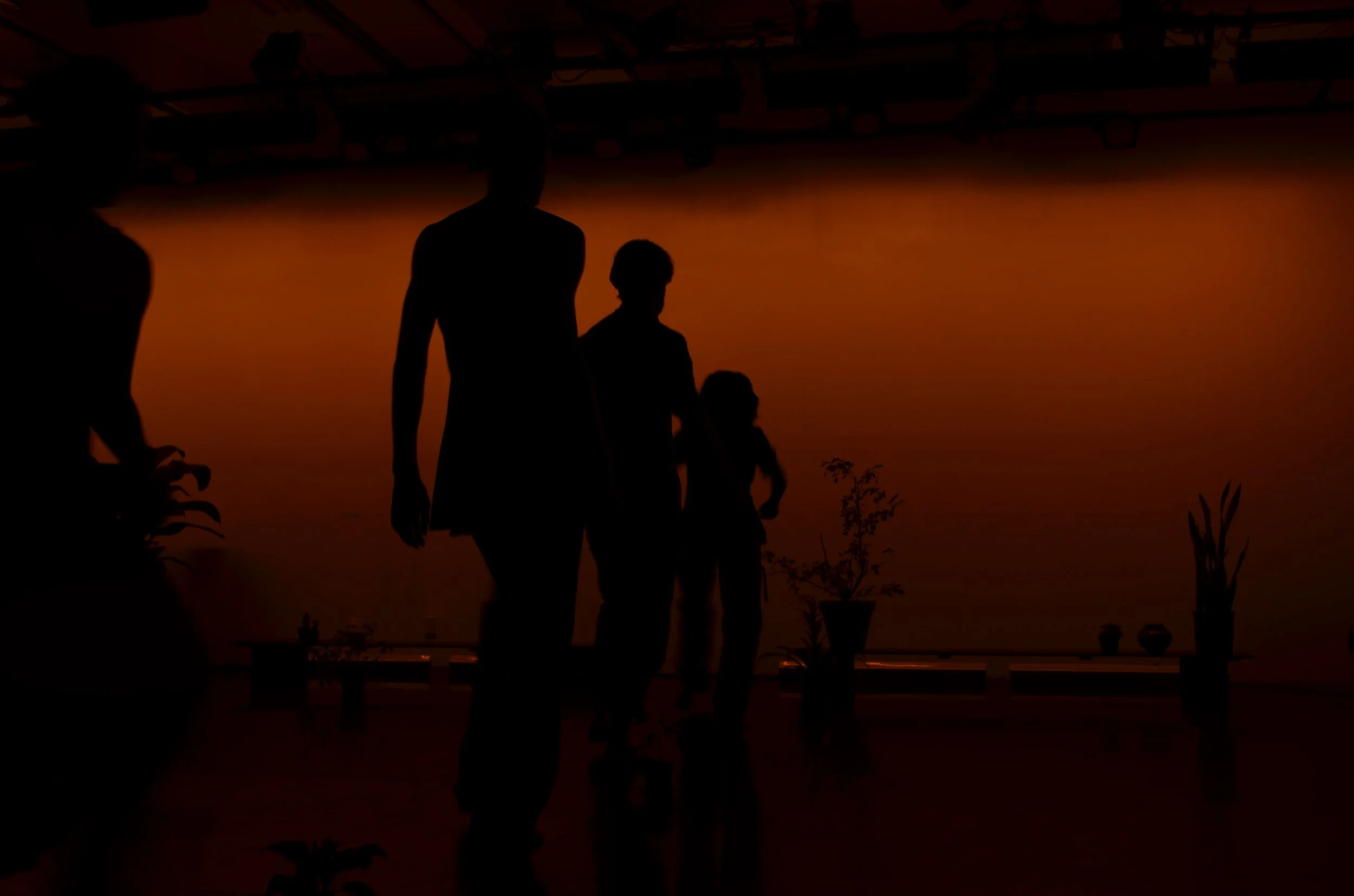 12 OOF 3.0 single-file silhouette2 DSC_0283.JPG