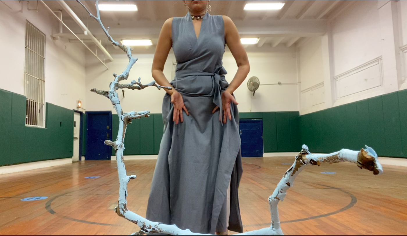 Palms Out Grey Dress Blue Branch.png