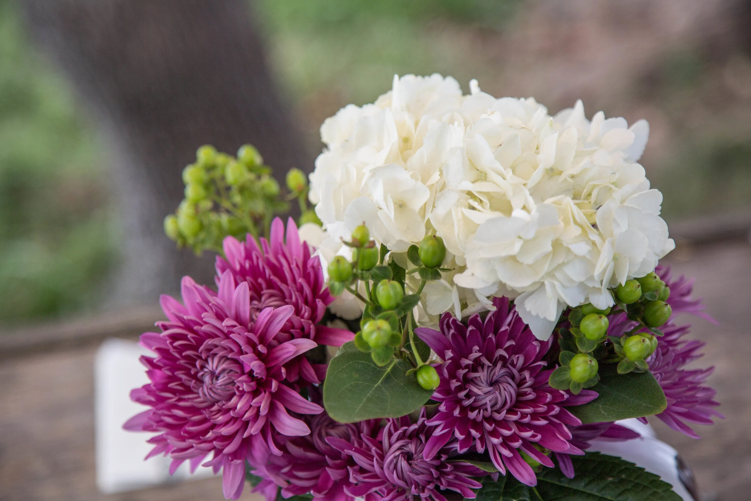 IHWSH Episode 2 by Cecilia Norman (5 of 77).jpg