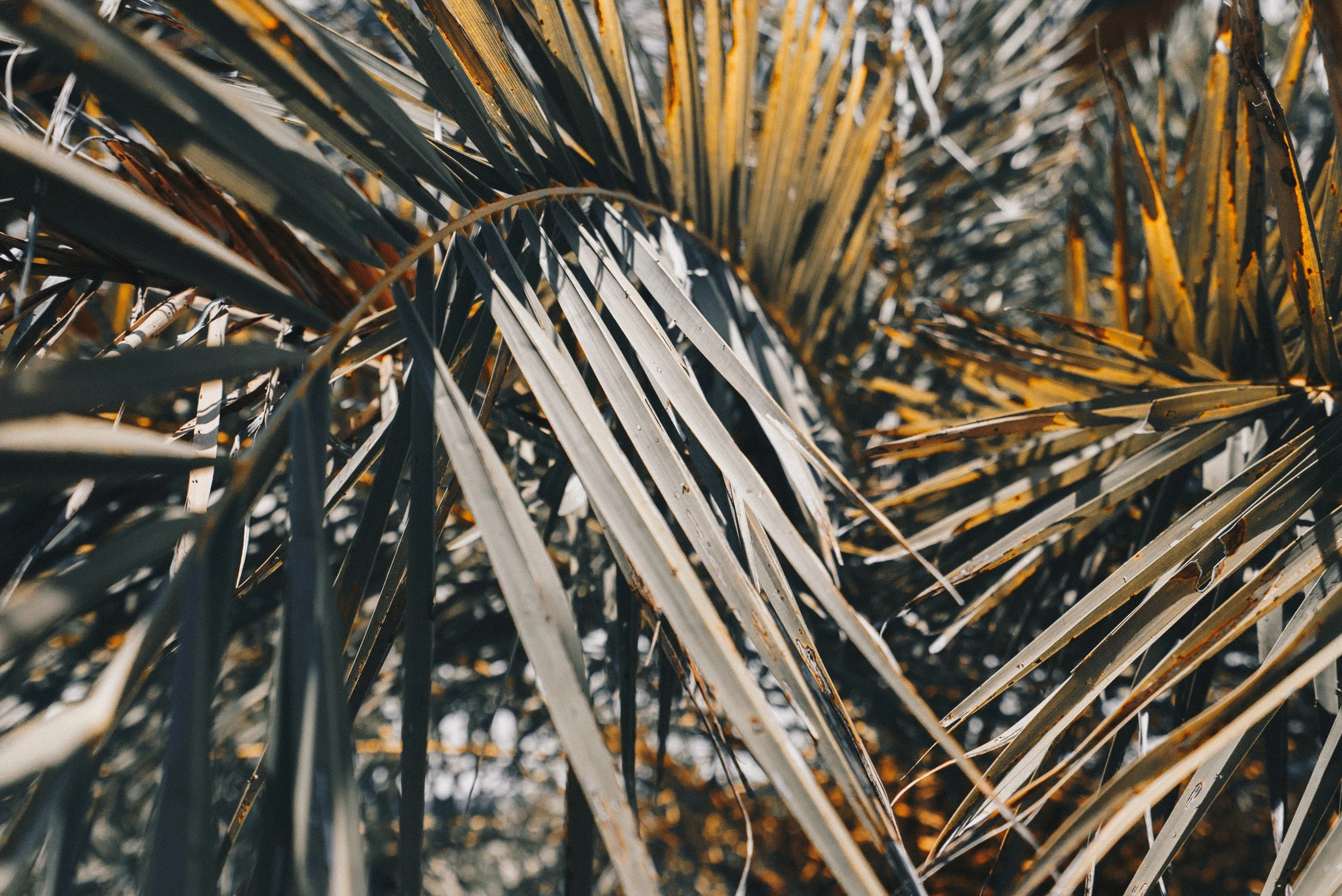 ethan-hoover-598057-unsplash.jpg