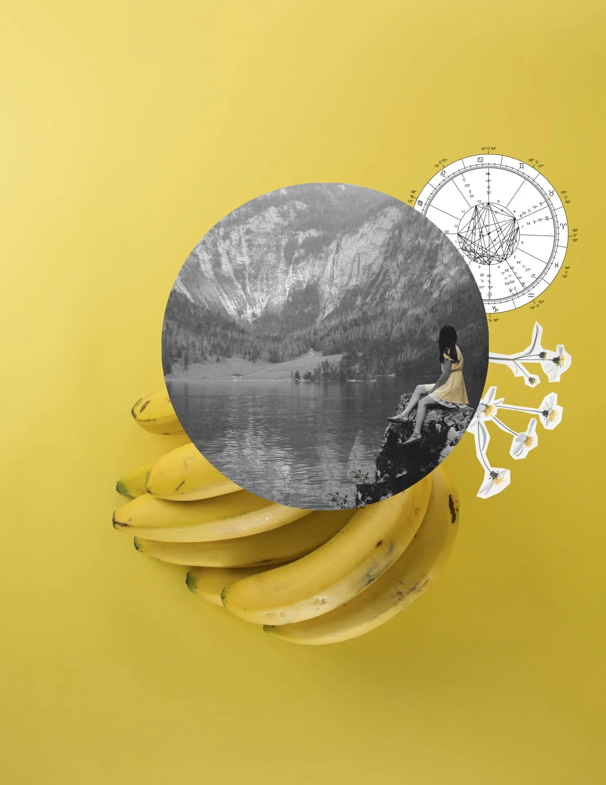 This sh*t is bananas | Carolina Malagamba
