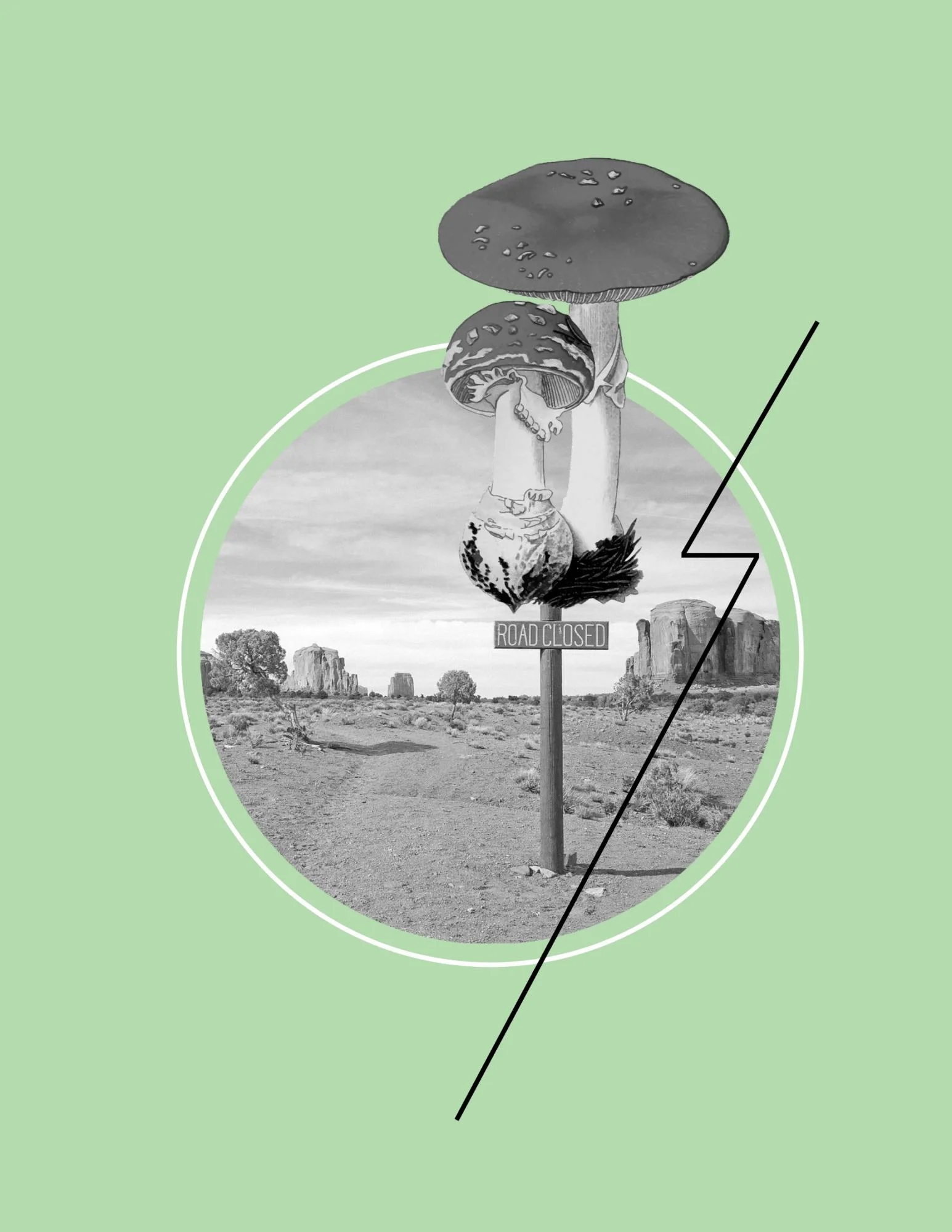 Identifying Toxic Relationships