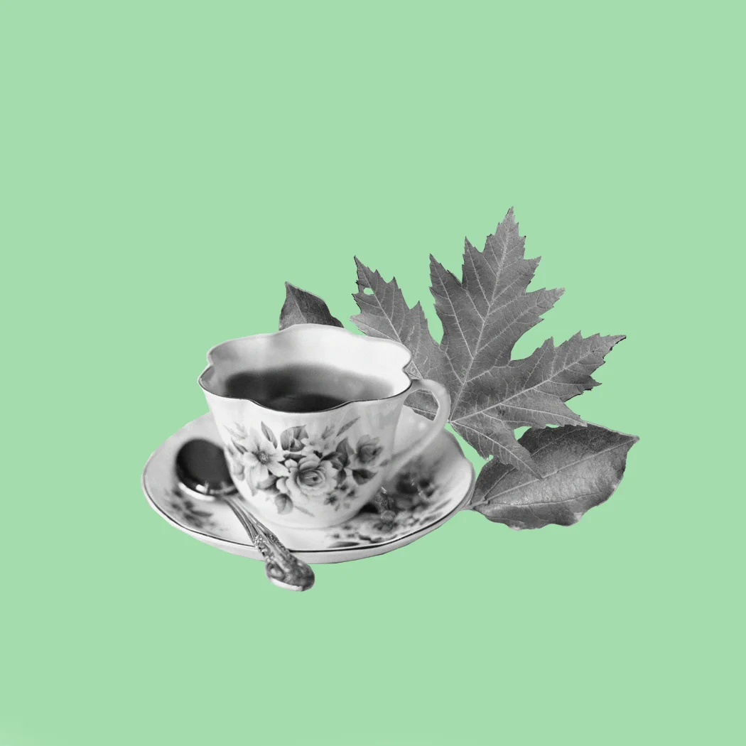 D.I.Y Tea-Leaf Reading