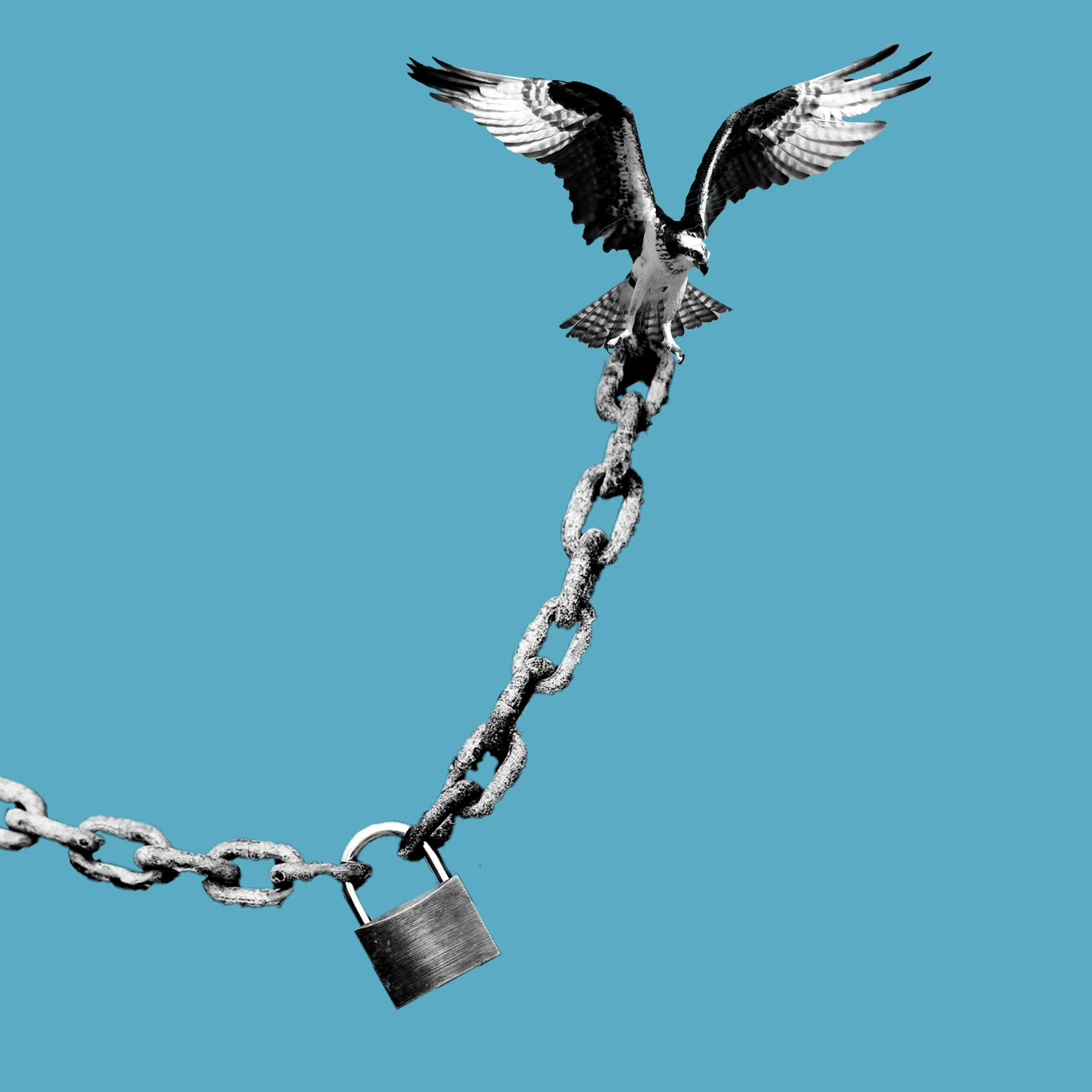 Don’t Be Confined by the Limitations of Your Career Label