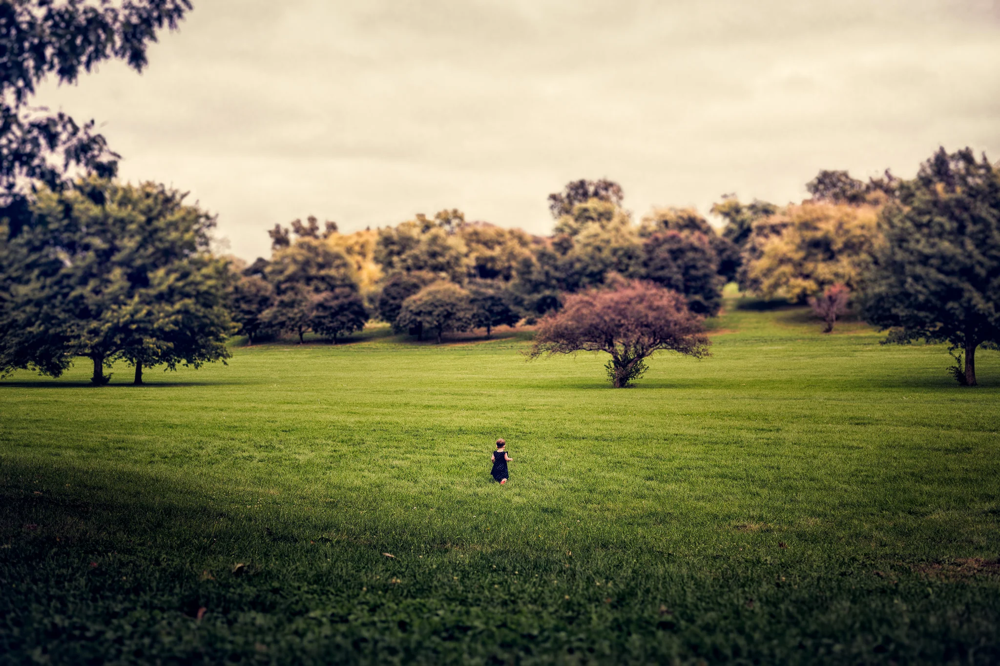 SN3A7153-Edit.jpg