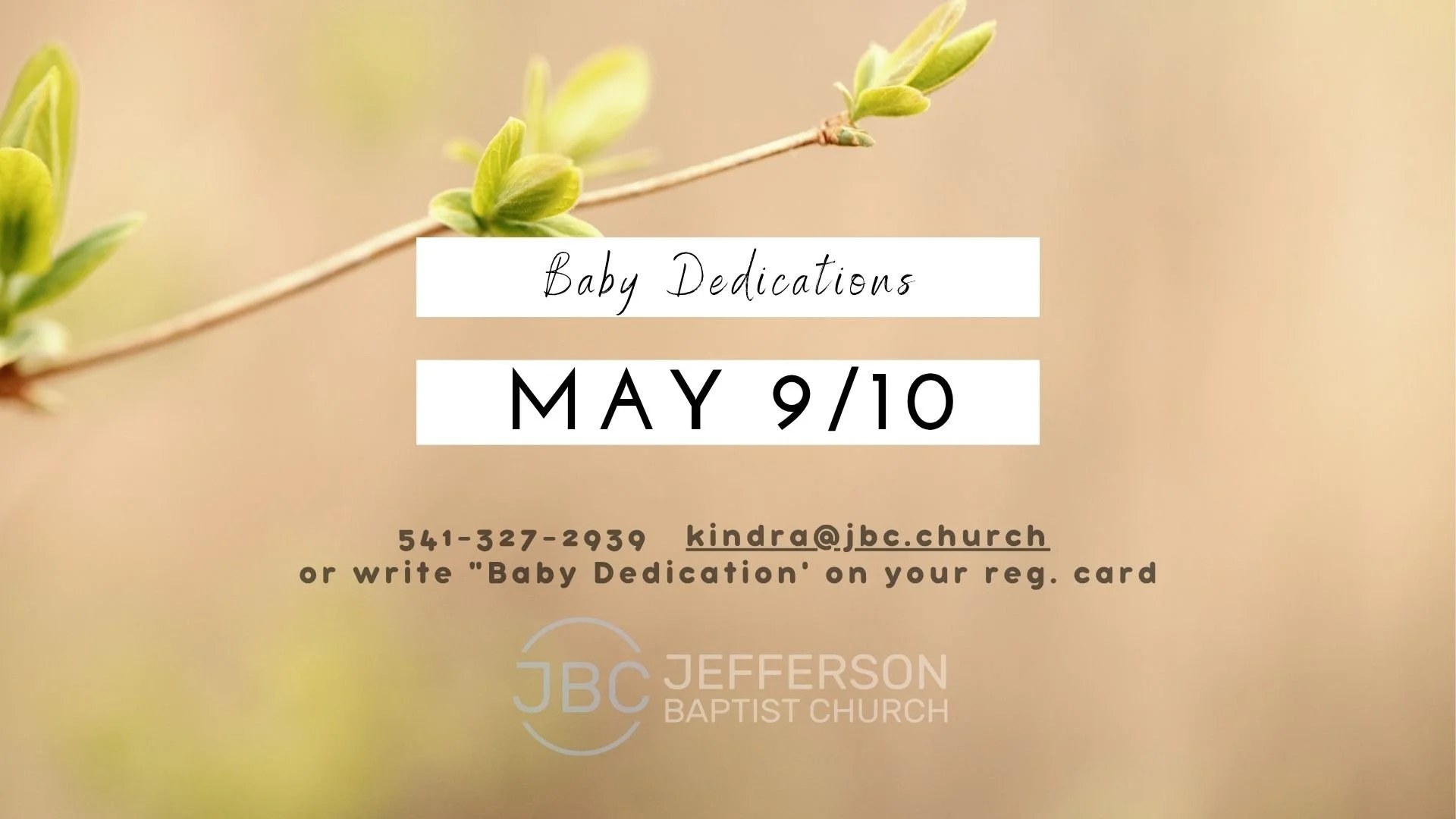 Baby Dedications.jpg