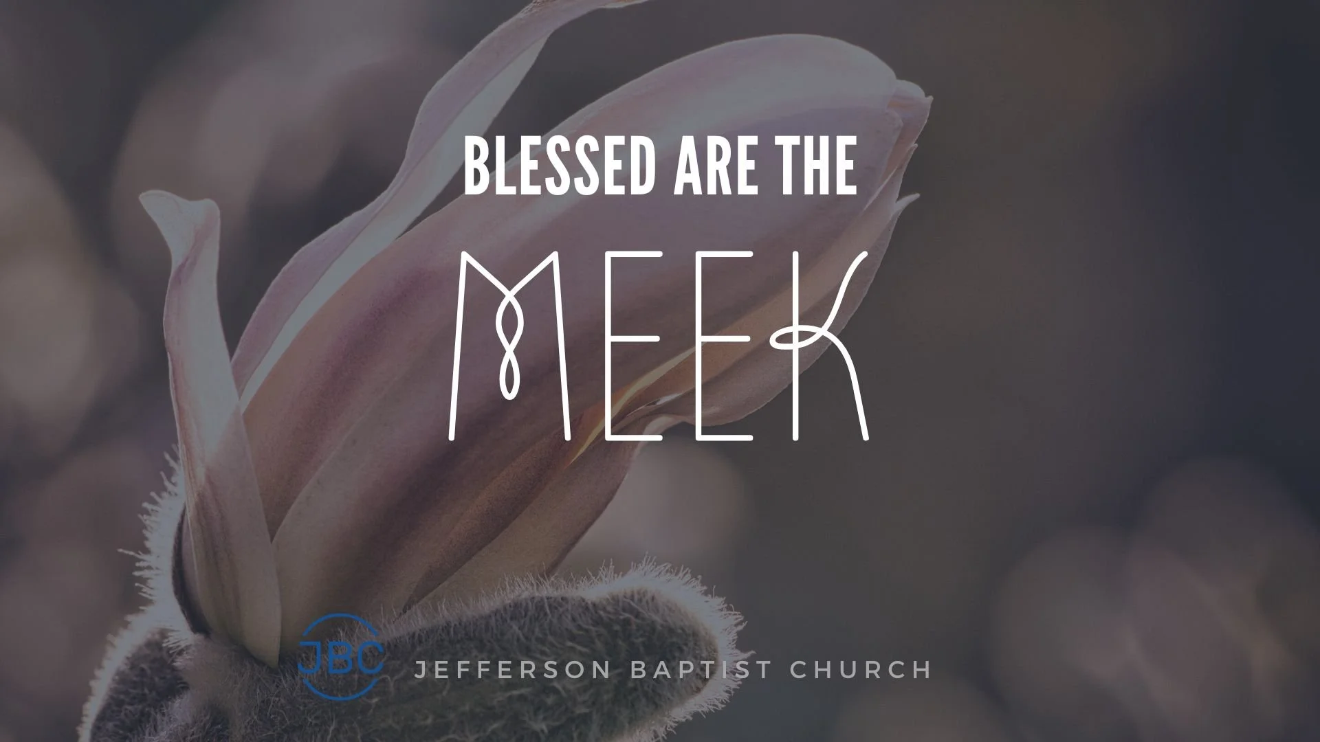 Blessed are the Meek (2013) by Pastor Mike Dedera