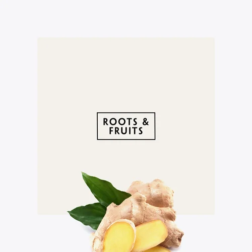 ROOTS-FRUITS.jpeg