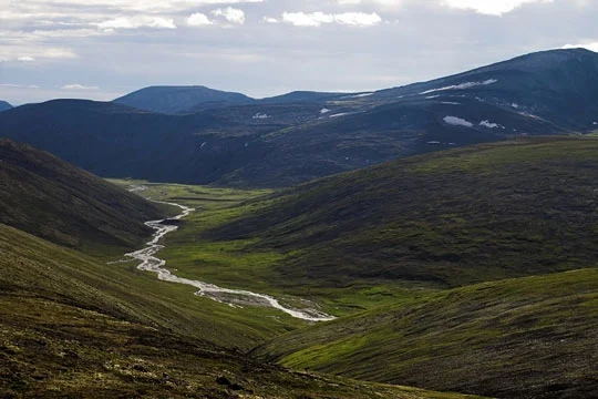 Landscape3 Subarctic.jpg
