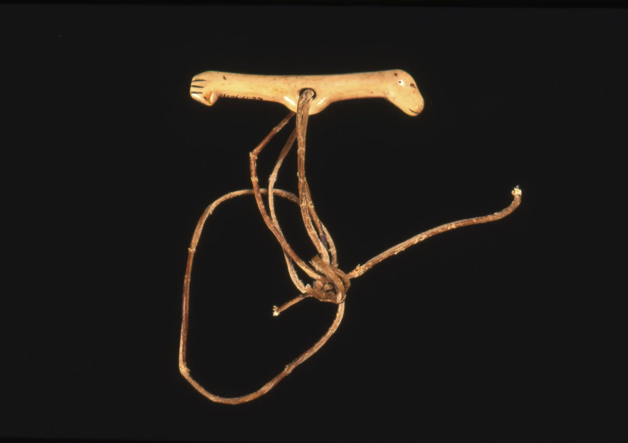 Iñupiaq, seal drag with a carved and engraved handle depicting a seal, collected 1905. Ivory and rawhide, 4 1/8 × 13/16 × 9/16 in. Hood Museum of Art, Dartmouth College: Bequest of Frank C. and Clara G. Churchill; 46.17.9651.