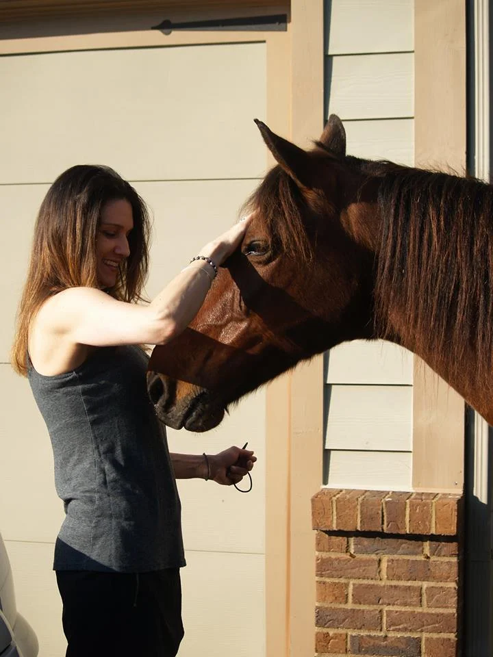 horse reiki.jpg