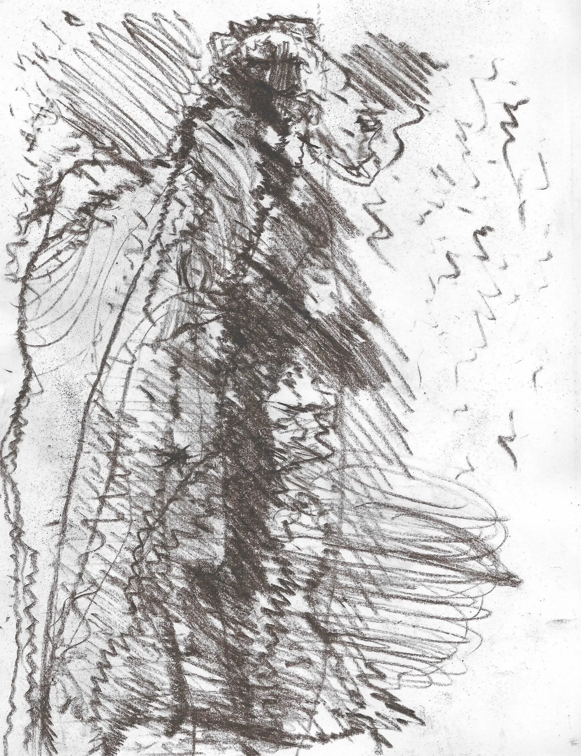 sketch sep 3 2025.jpeg