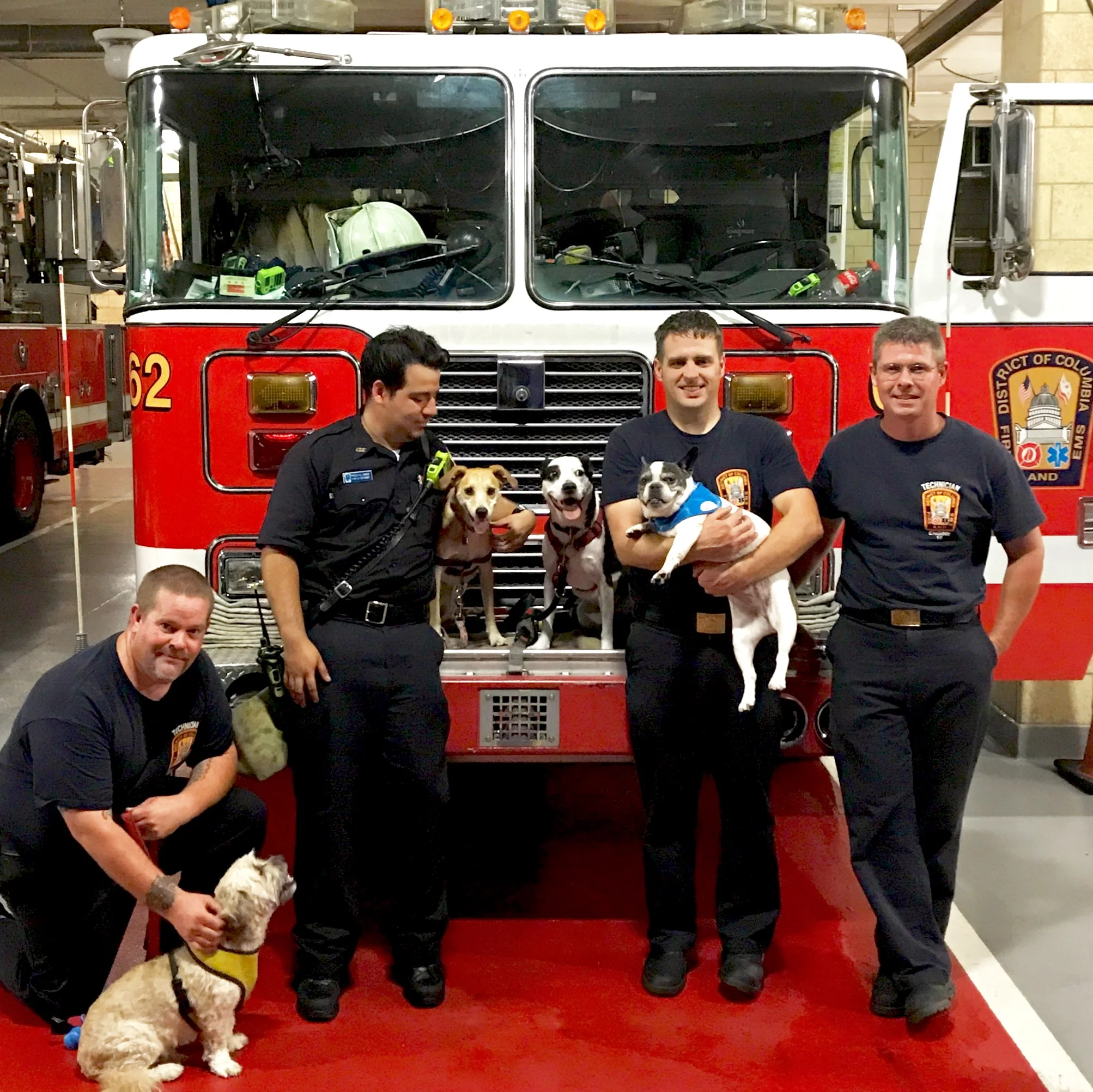 National Pet Fire Safety Day
