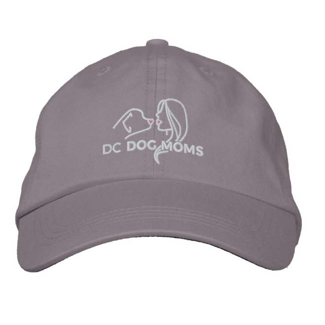 pride dog accessories