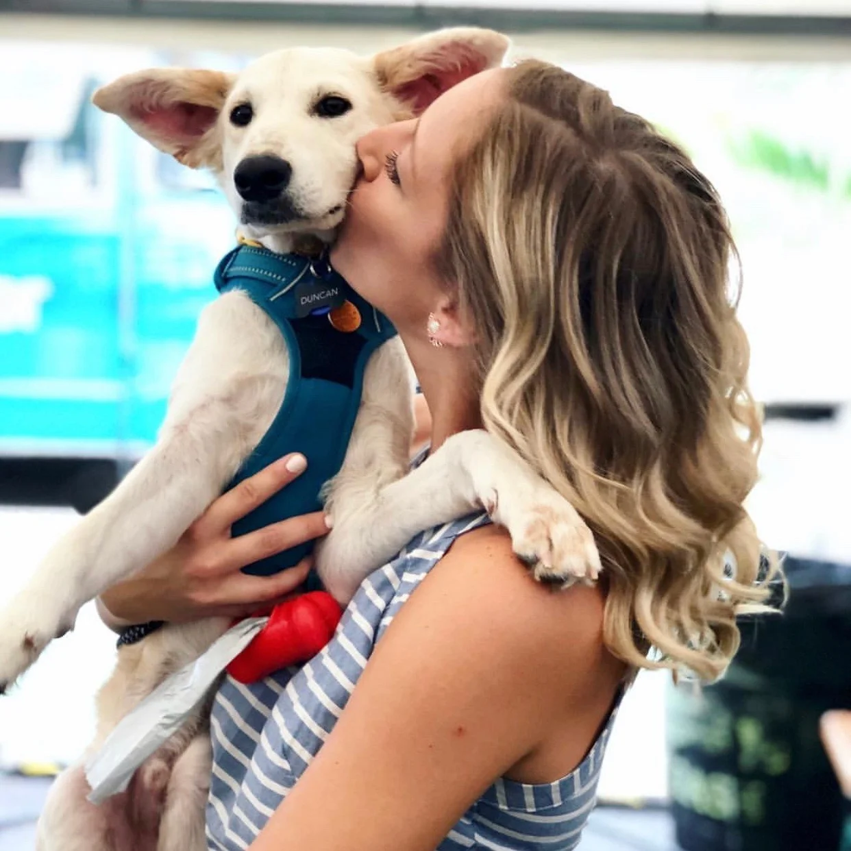 Guest Post: Advice for First-Time Dog Owners