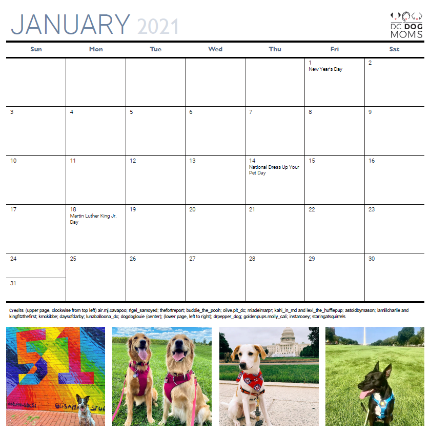 January Date Capture.PNG