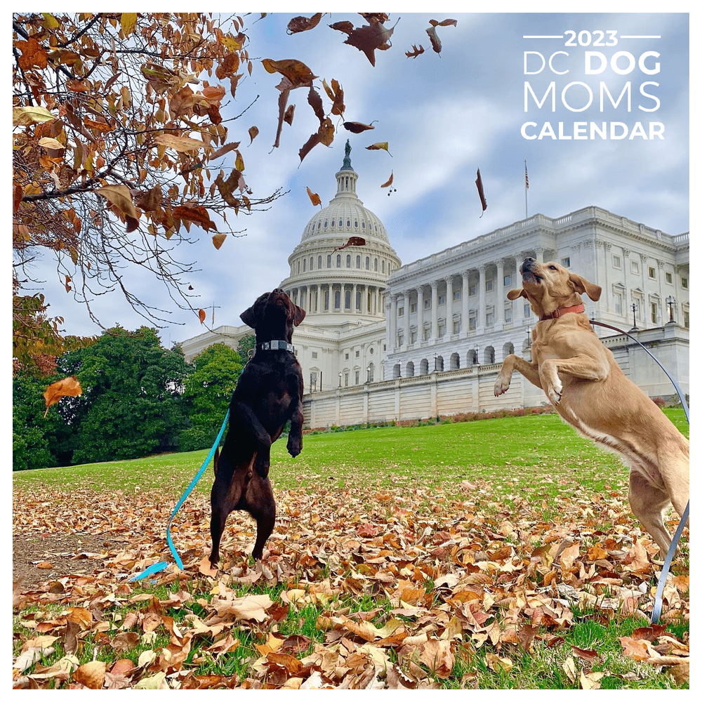 2023 Washington, DC Calendar — DC Dog Moms