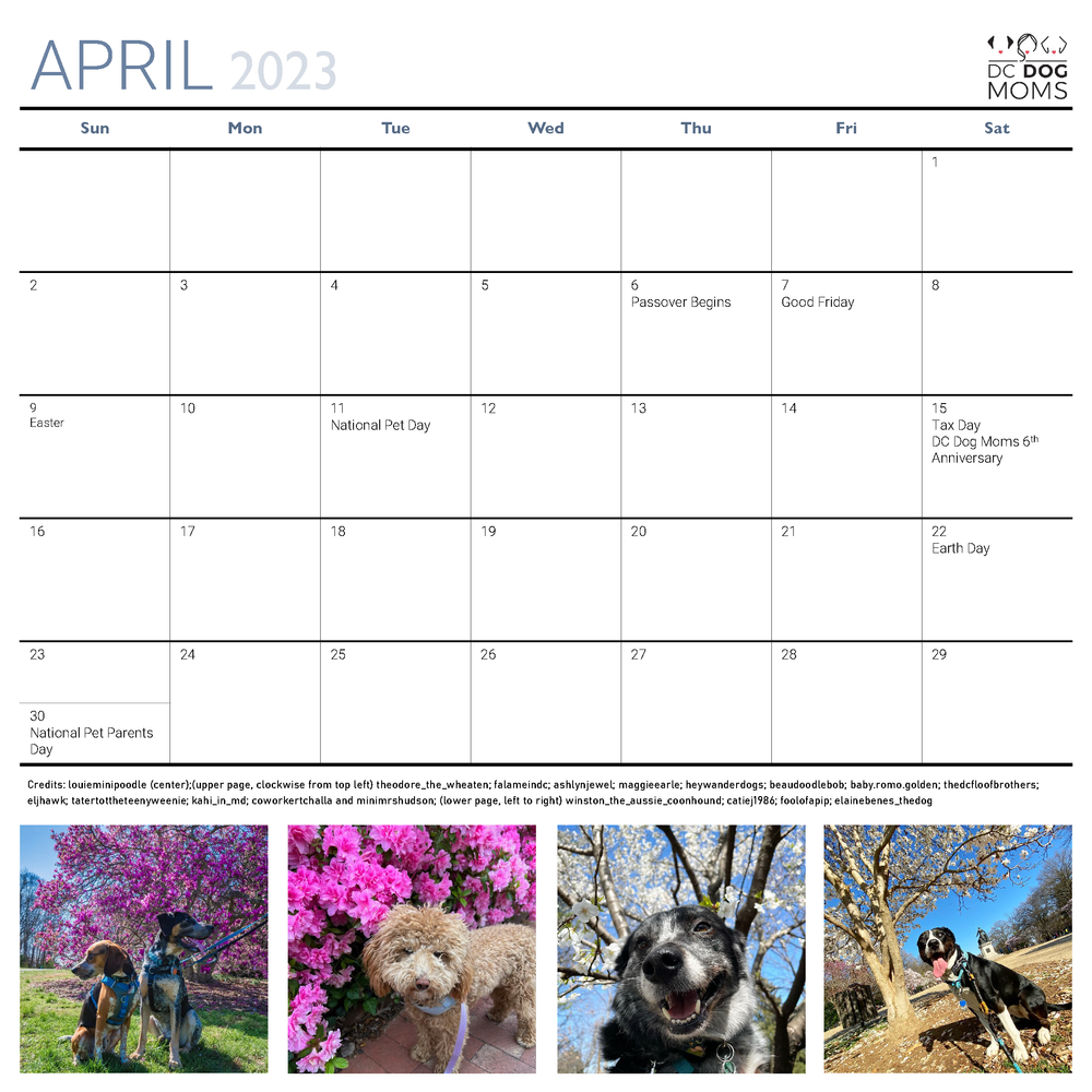 2023 Washington, DC Calendar — DC Dog Moms