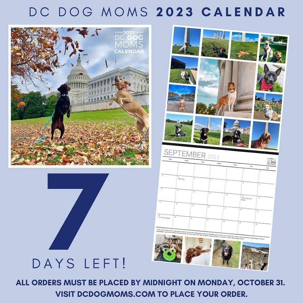 Only seven days left to get your orders in for the 2023 DCDogMoms calendar! Head over to DCDogMoms.com or click the link in our bio!