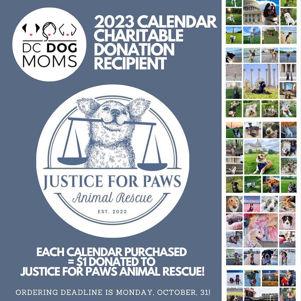 ✨✨ We are thrilled to announce that the recipient of our 2023 calendar charitable contribution is Justice For Paws Animal Rescue!

We were really excited to learn about this organization. @justiceforpawsrescue is an all-volunteer, foster-based non-pr