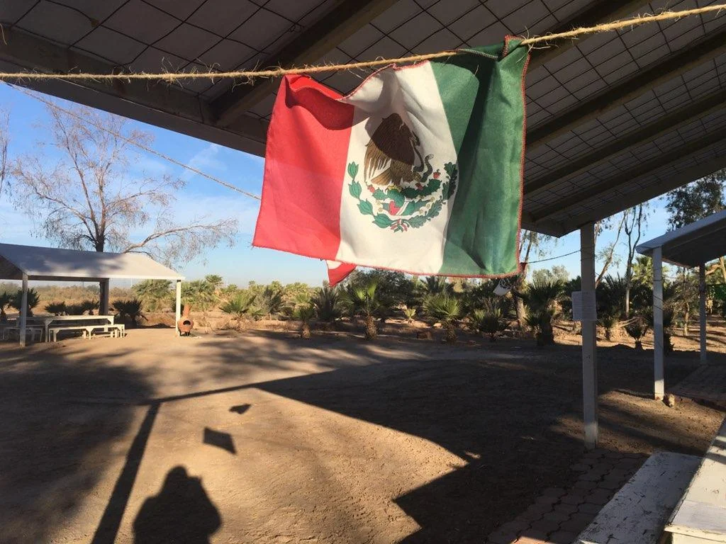 Into the Borderlands: A journey for collective responsibility, deep analysis, and effective action