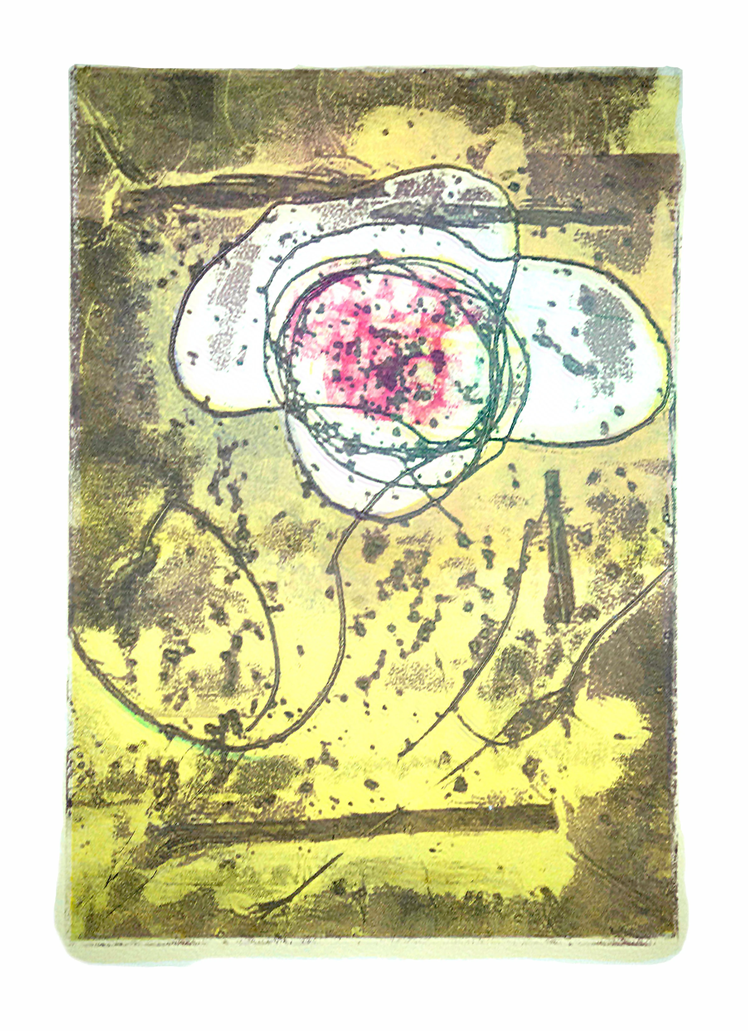 Seedling 4