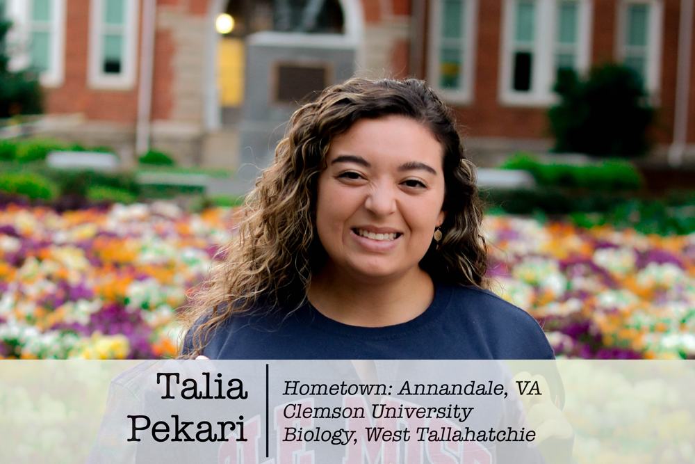 More Than a Job: MTC Second-Years Reflect on Their Journeys (Talia Pekari)