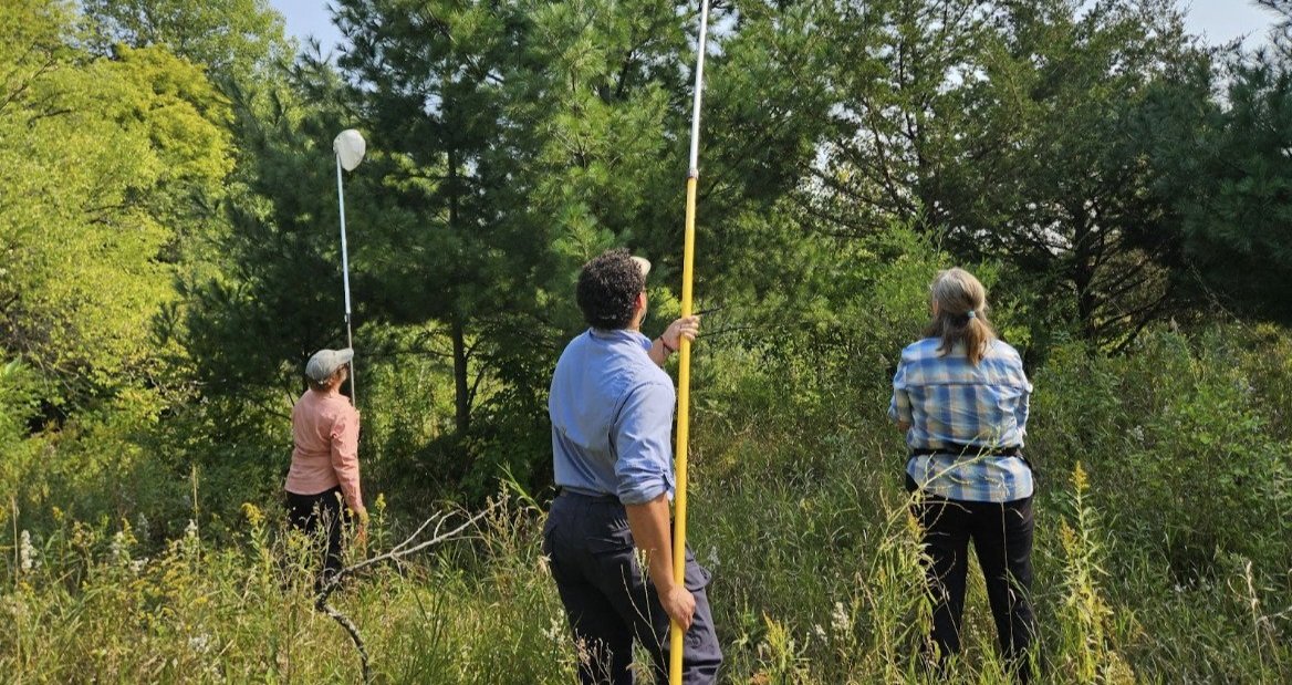 USDA cone collecting.jpg