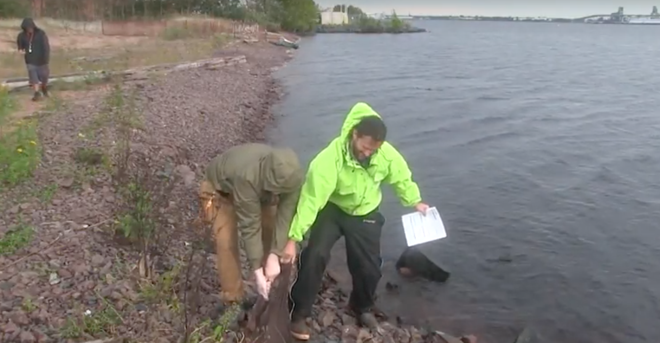 Video: UMD puts an effort to clean up the lakeshore, finding an alarming amount of plastic and styrofoam
