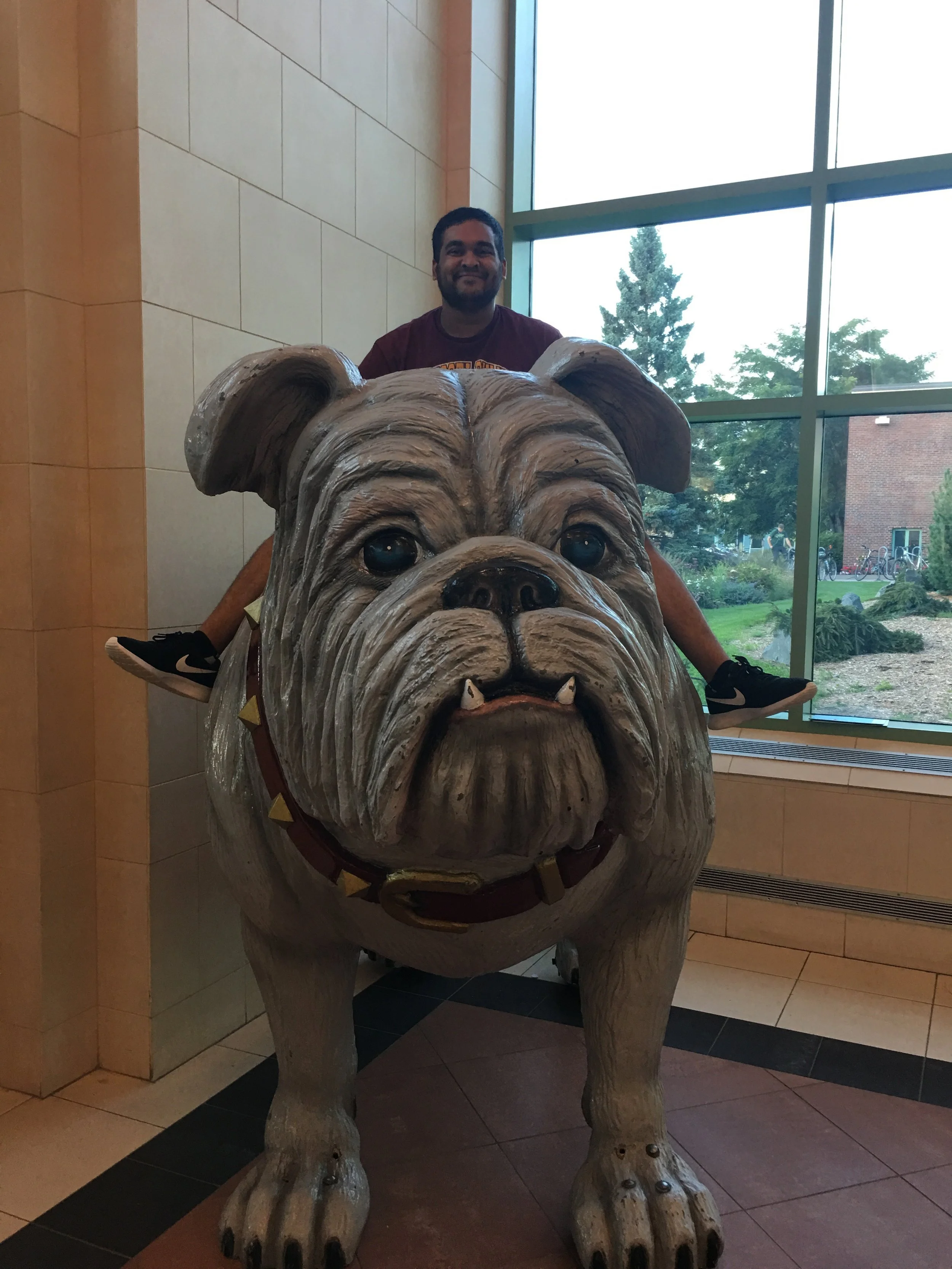 Bhakta showing his bulldog spirit - Credit: Isaac Wolf