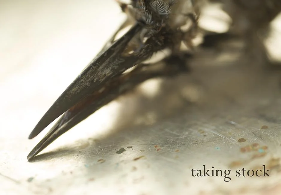 Tweed Exhibit: “Taking Stock” showcases work by UMD Senior 