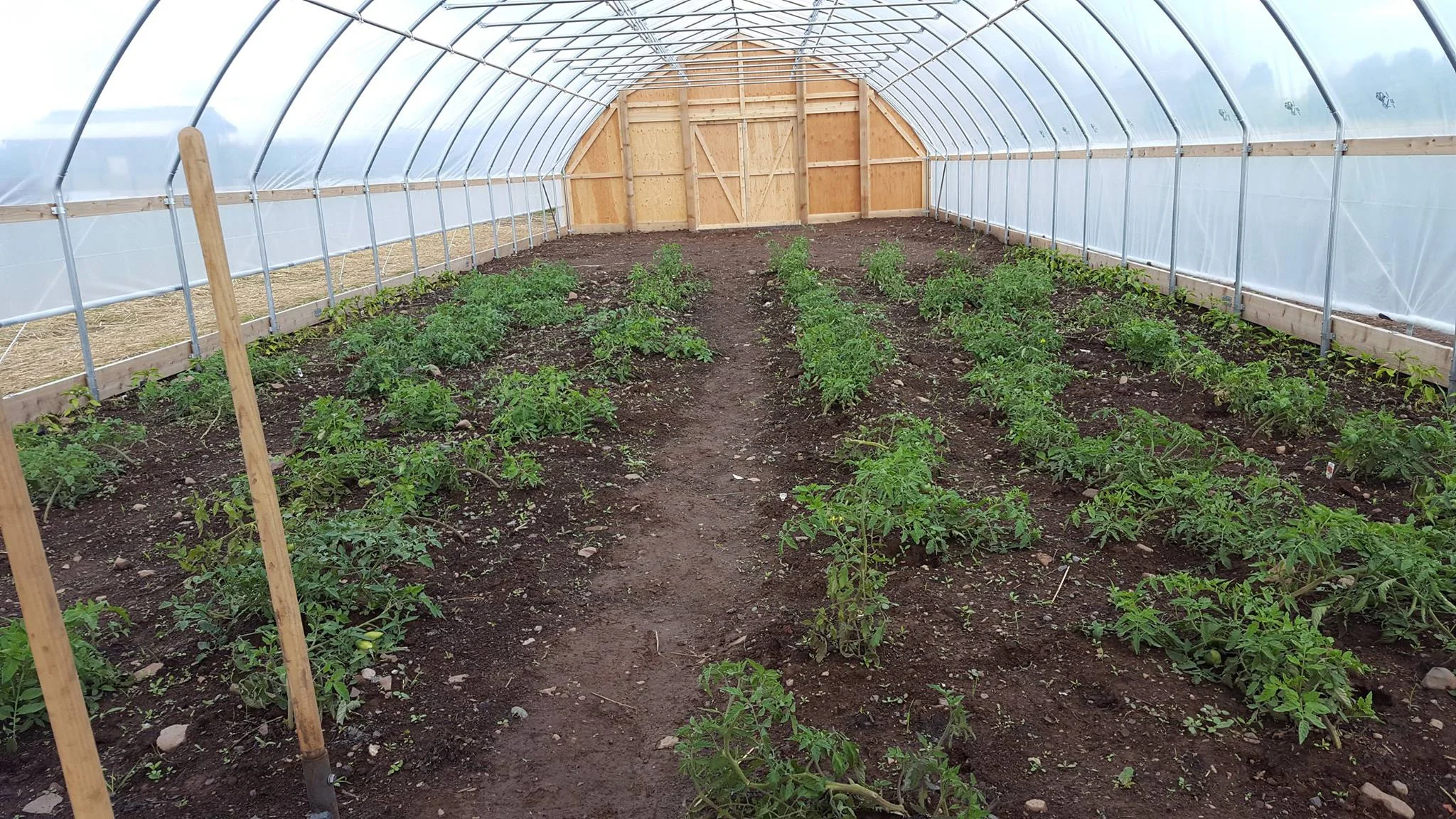 UMD farm explores sustainability 