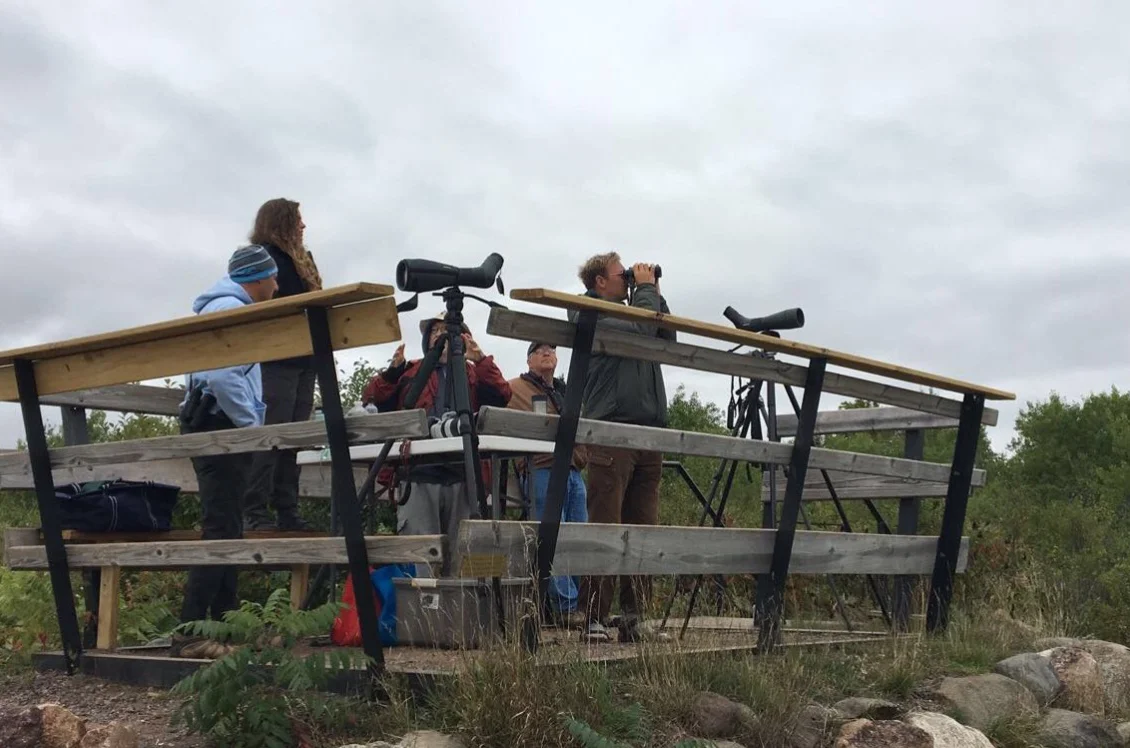 The counters try to see if there will be any birds. From left: John Richardson, Hannah Toutoughi, and Stephen Nelson. Photo by: Vinny Harvieux.