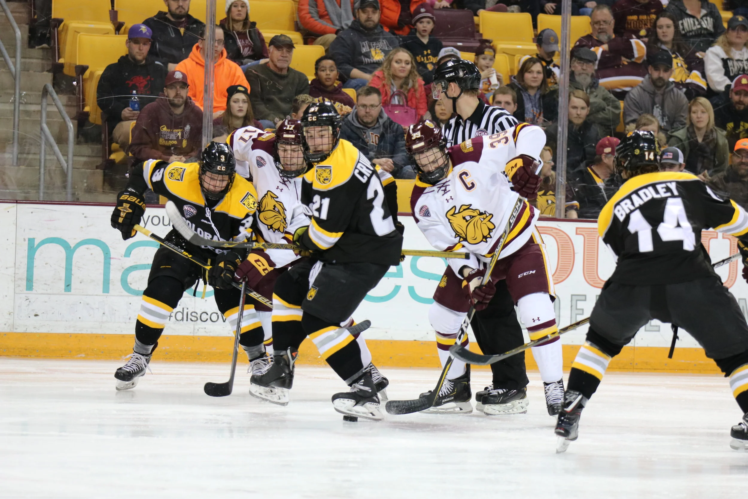 Bulldogs dominate the Tigers, sweep the series