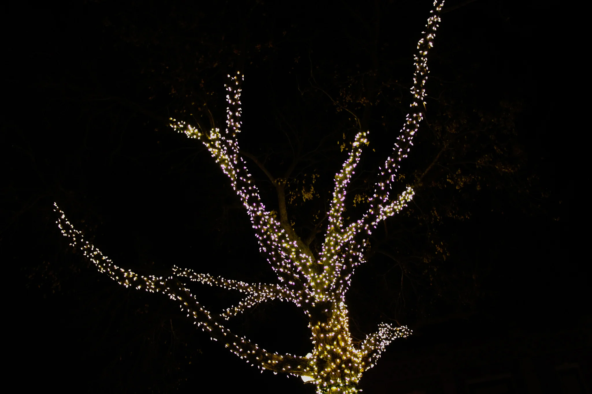 The Duluth Winter Village is one of the many events going on at Glensheen in December. The mansion also features a Christmas display outside that visitors can walk through, especially at night with the lights lit up. Photo by Morgan Pint