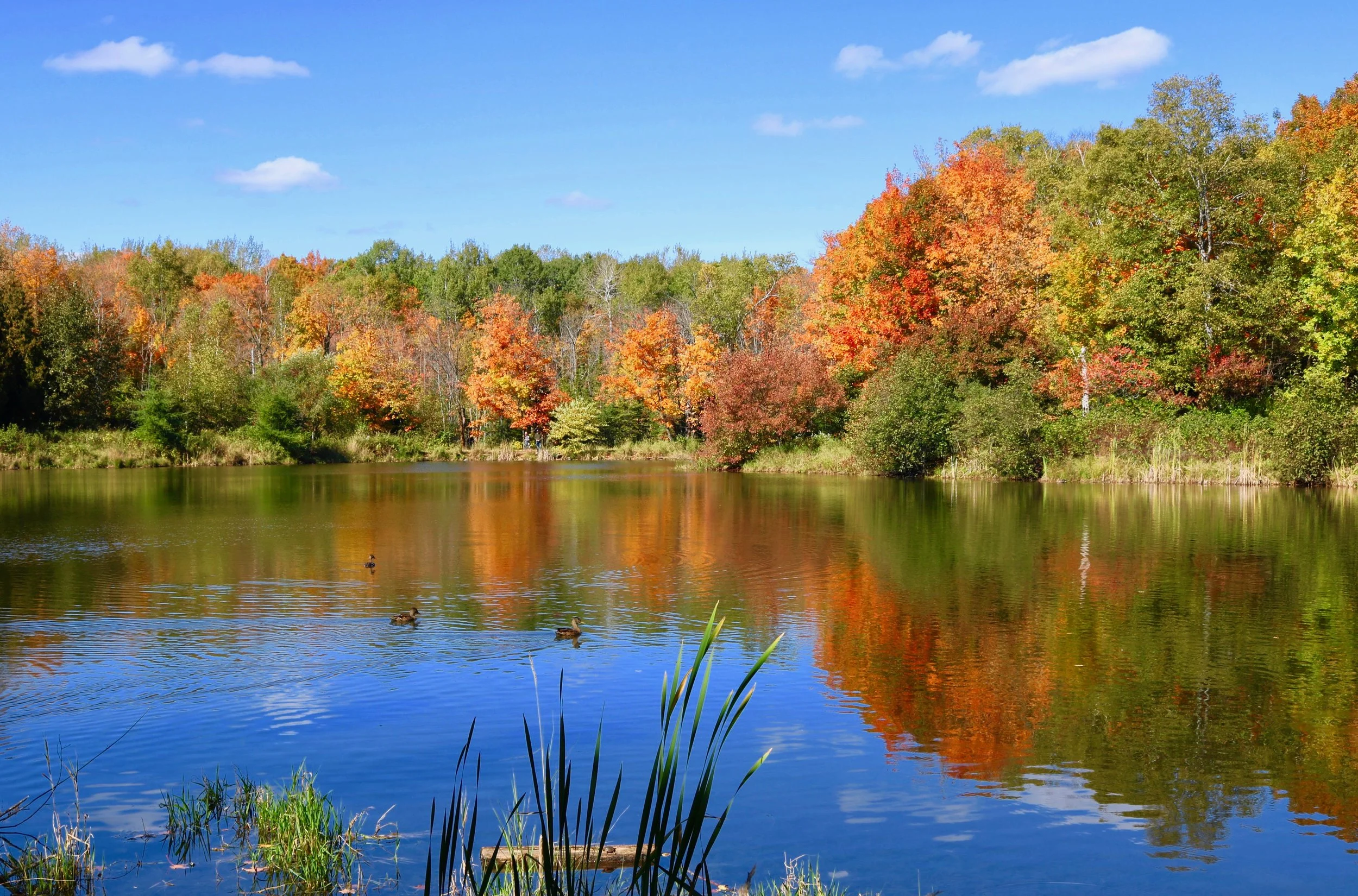Top five places to see fall colors