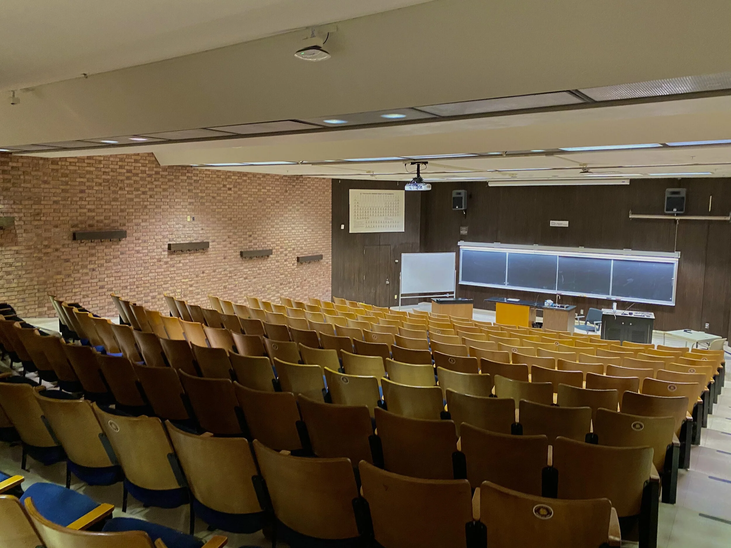 UMD students achieve academic success during distance learning