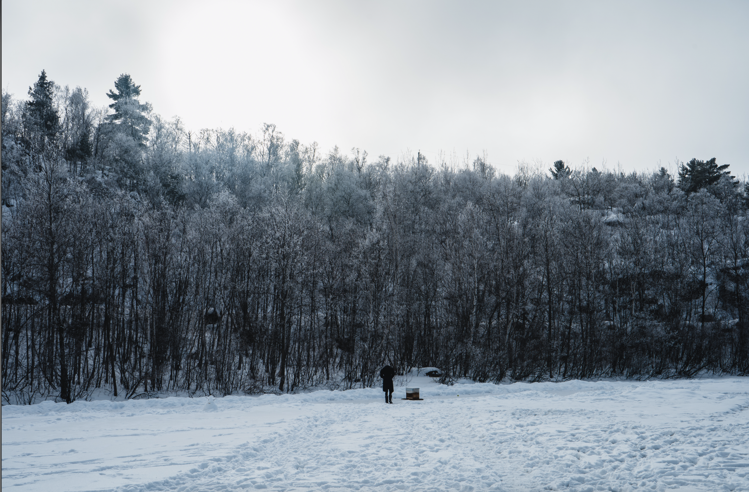 Winter Photo Collection