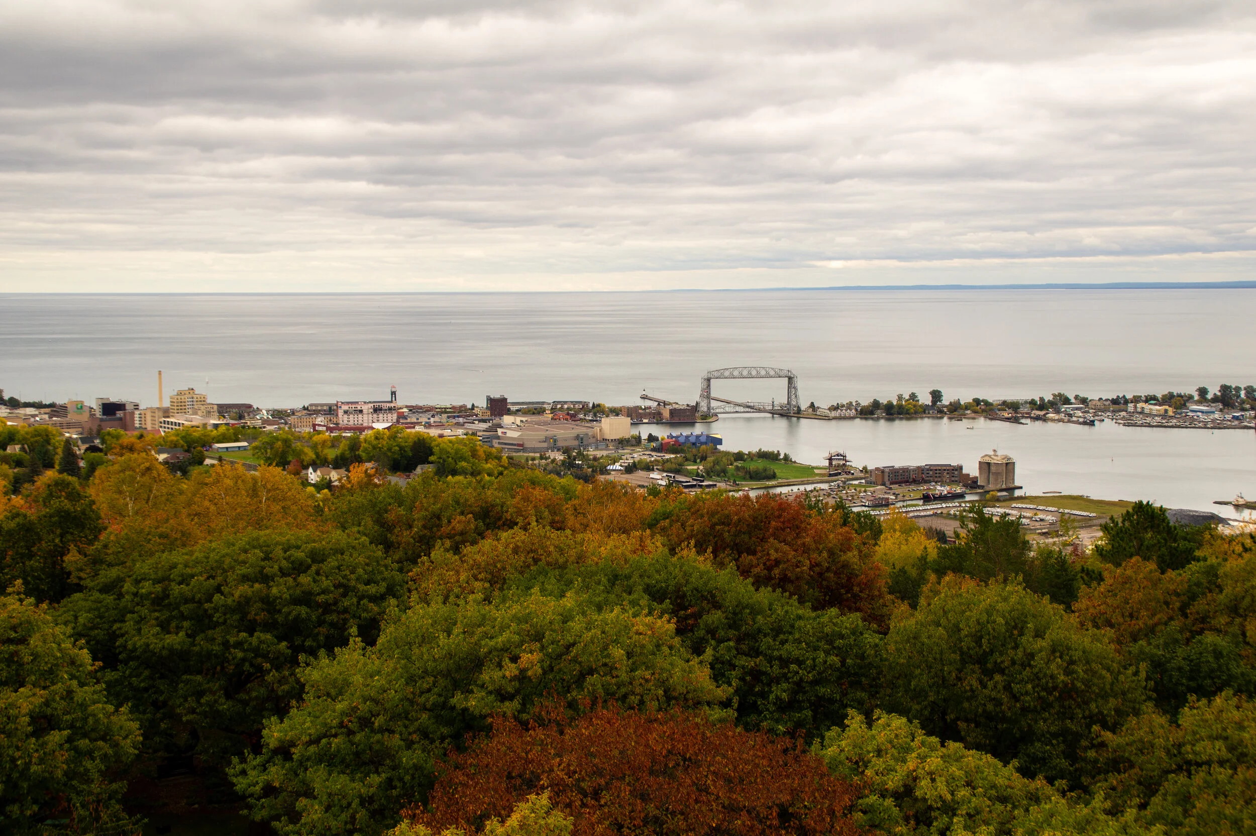 Tips and tricks to staying healthy this fall up at UMD 