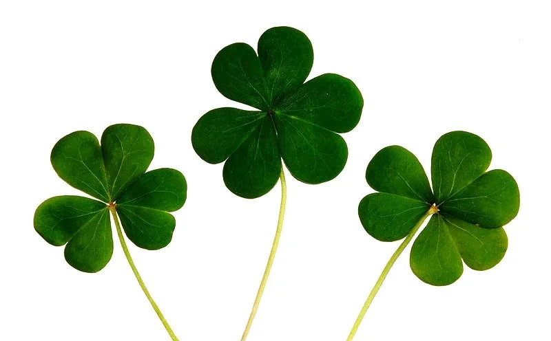 It’s not easy being green: The story of St. Patrick's Day and how we continue to celebrate the Irish holiday  