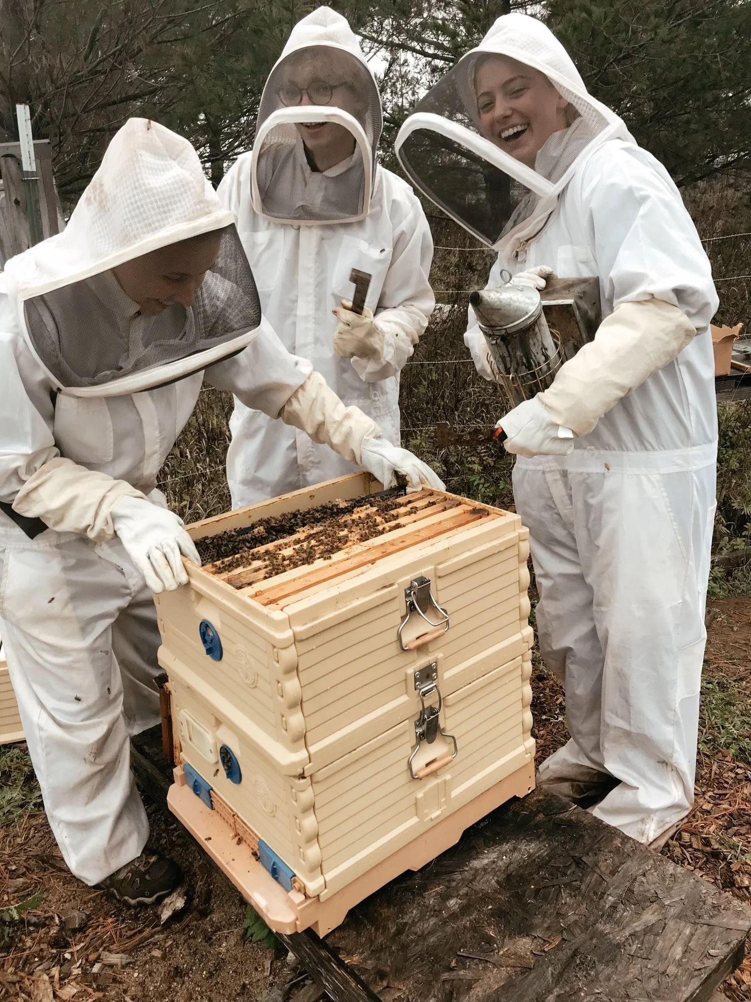 New Beehives Coming to UMD Campus