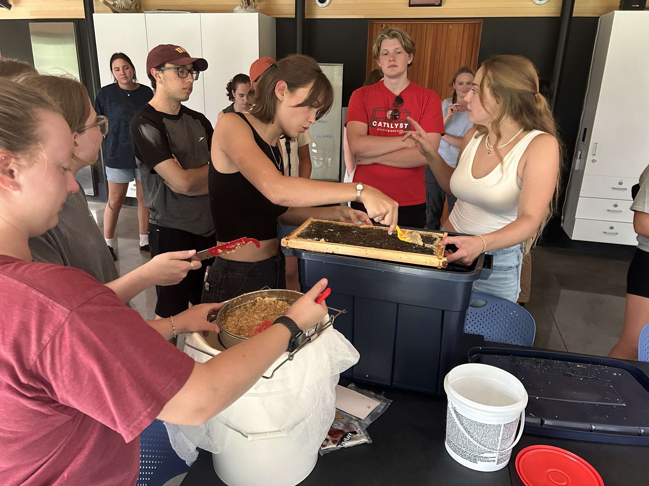 Helping Hives Honey Harvest 