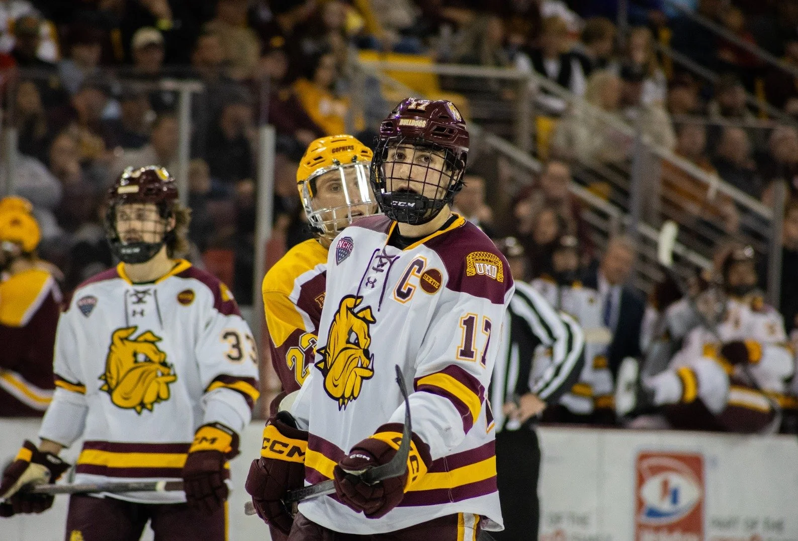 Dominic James, UMD Men's Hockey Team Captain: A Profile 