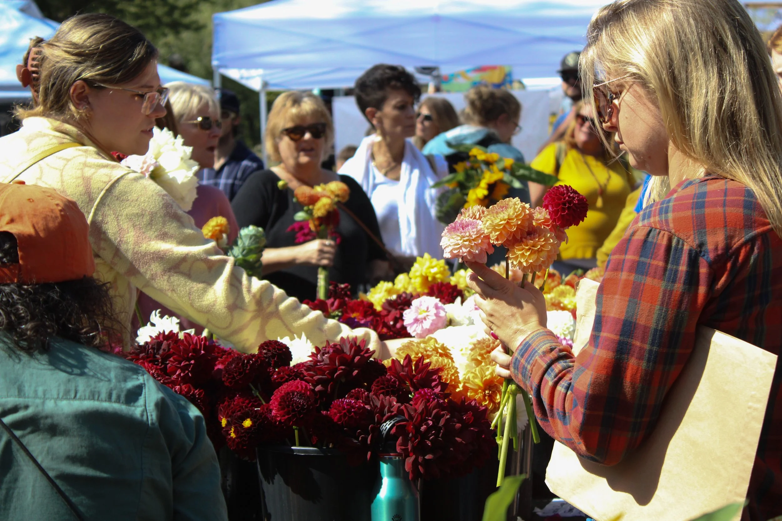 Shop Small This Fall