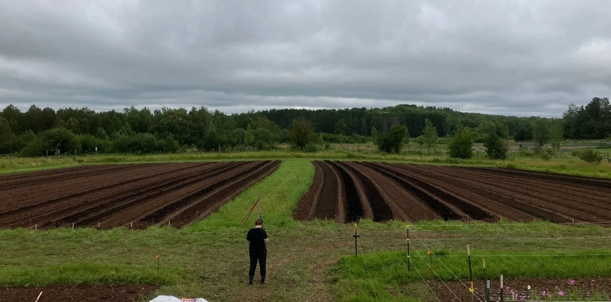 UMD’s Golden Sustainability Progress – Exploring the STARS with Jonna Korpi