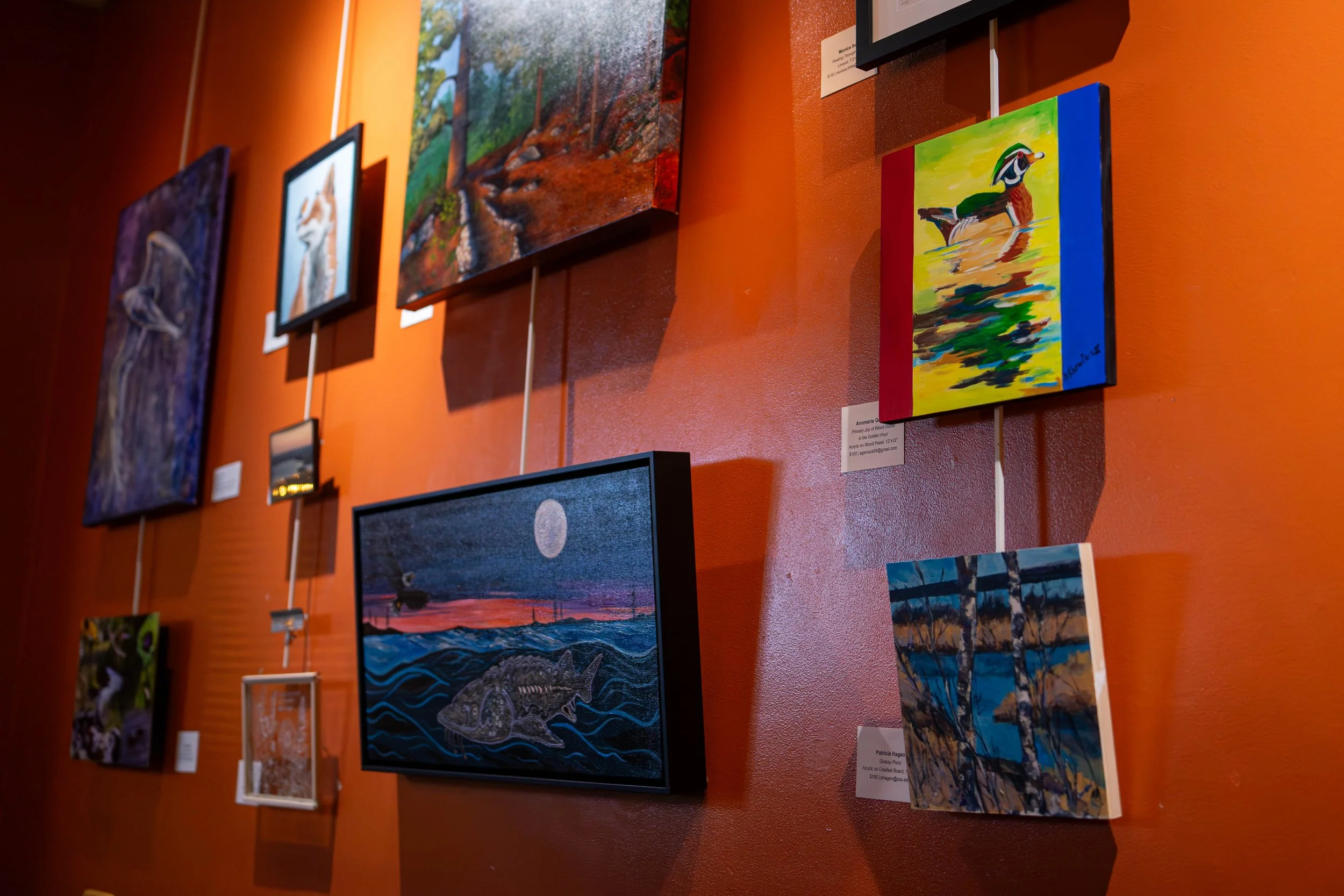 Community Gathers to Celebrate the St. Louis River Estuary