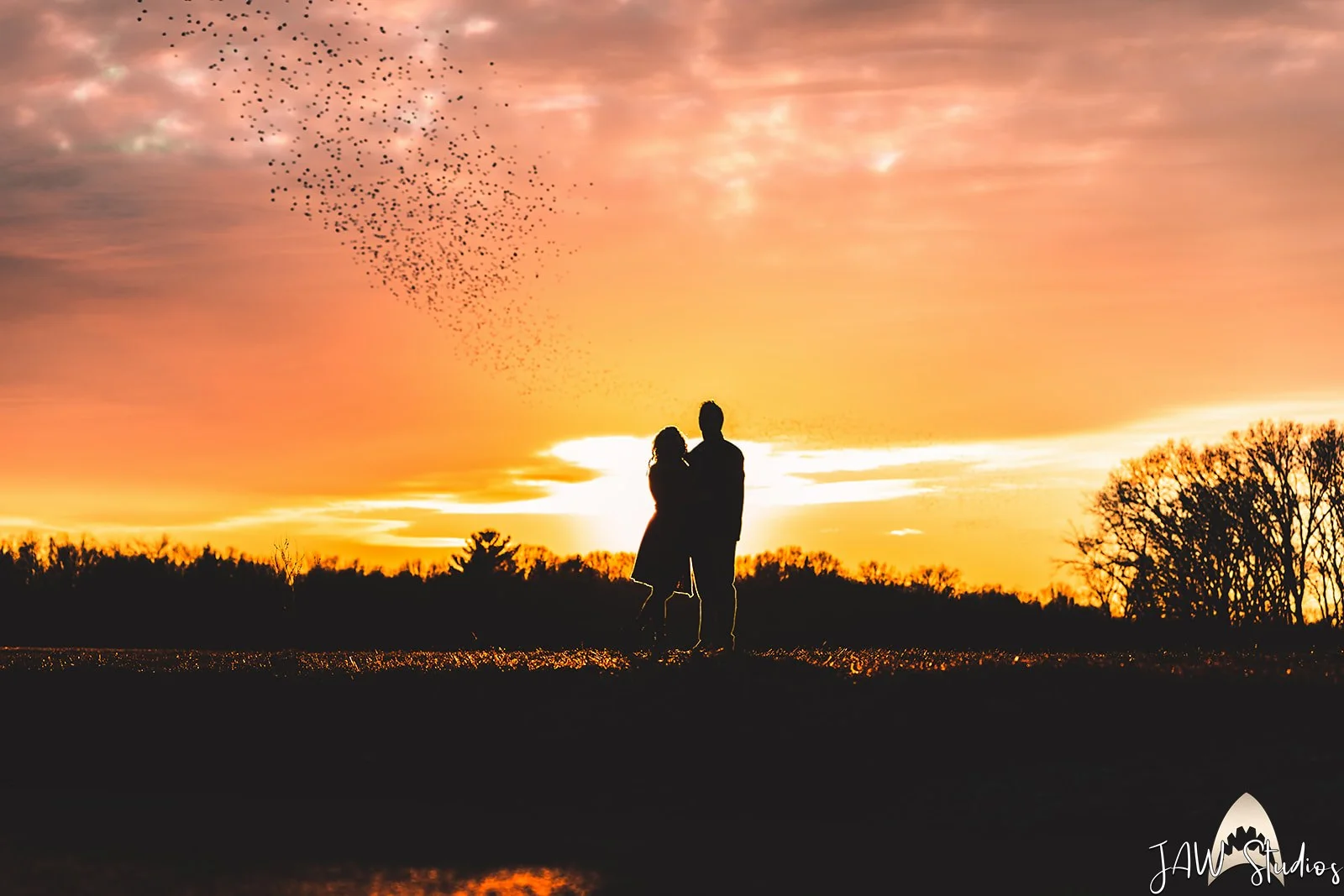 Steph___Alex_Engagement-132.jpg