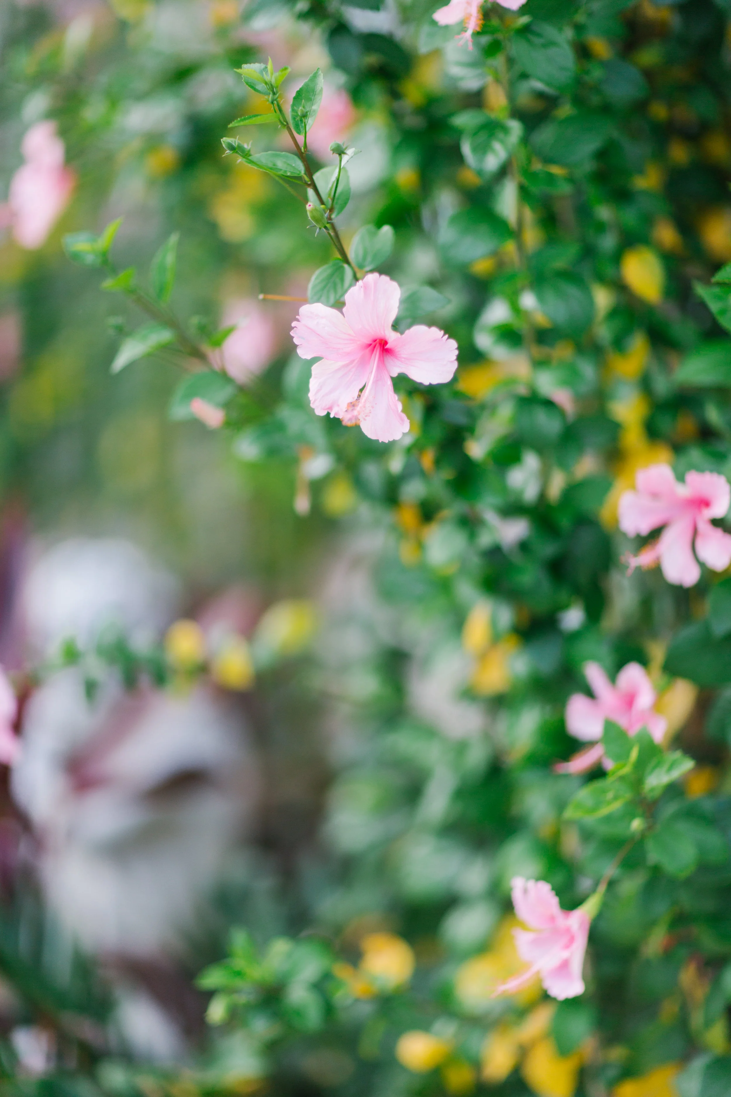 feitenphotography-9.jpg
