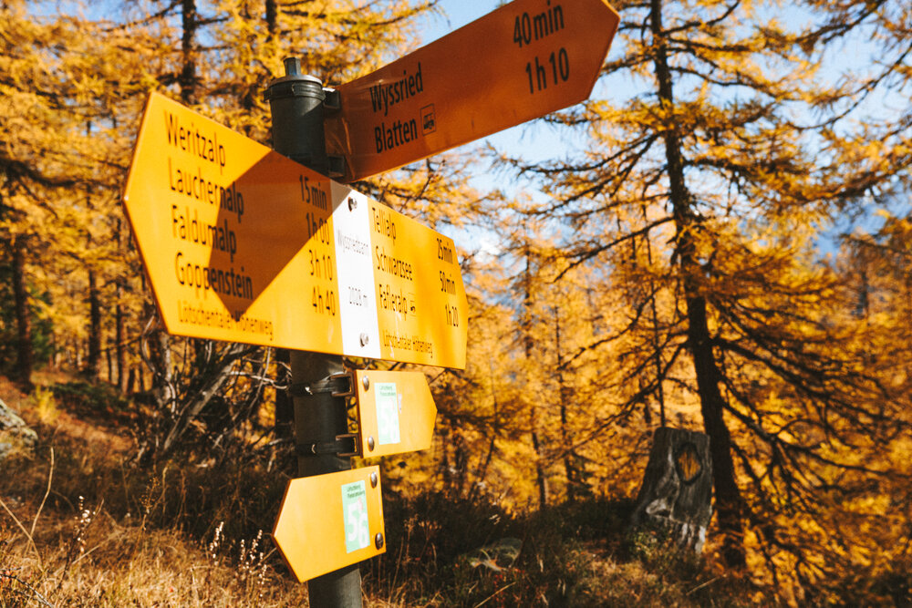 Signs for Hikers: It's the same color!