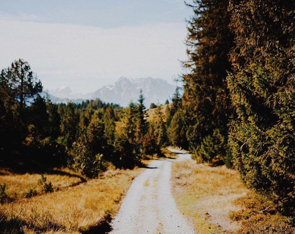 your dreams are incredibly loud tonight
you're creating forest fires 🌲

#swissalps #germanroamers #mapify #nrthwst #thewanderco #roamtheplanet #stayandwander #awakethesoul #visualscollective #folksouls #wekeepmoments #seasonspoetry #wanderlust #live
